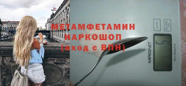 шишки Новодвинск