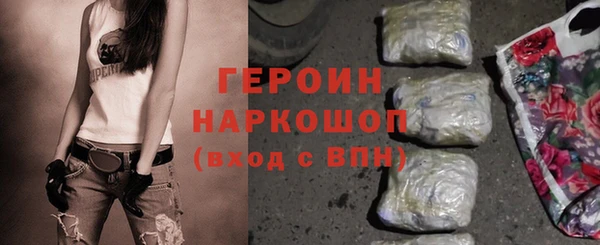 шишки Новодвинск