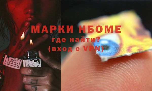 шишки Новодвинск