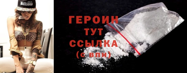 шишки Новодвинск