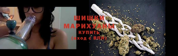 СК Новозыбков
