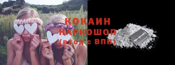 шишки Новодвинск