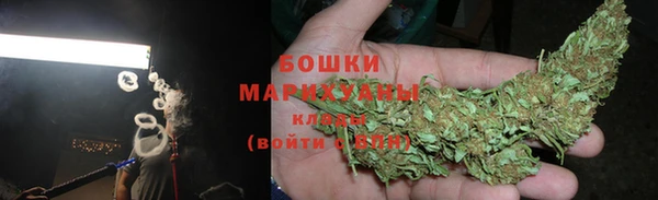 СК Новозыбков
