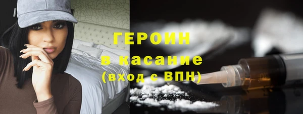 шишки Новодвинск