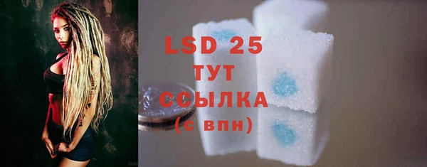 шишки Новодвинск
