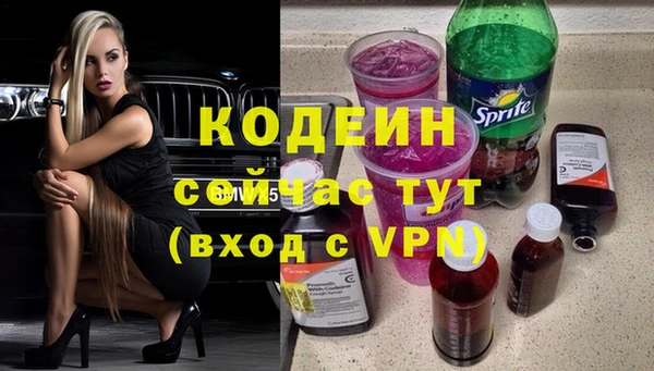 шишки Новодвинск