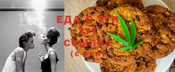 шишки Новодвинск