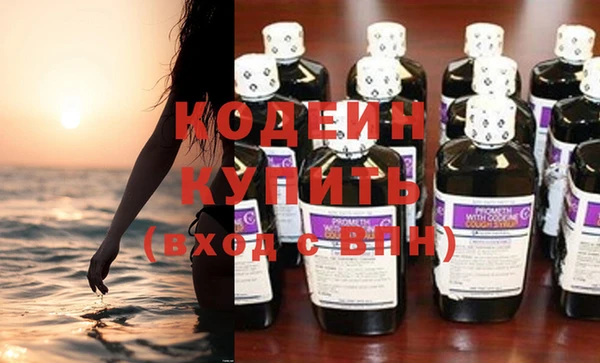 шишки Новодвинск