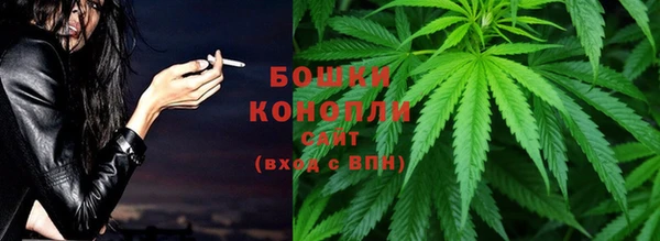шишки Новодвинск