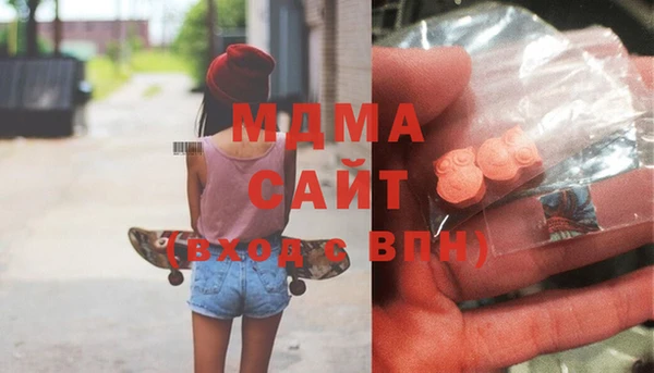 шишки Новодвинск