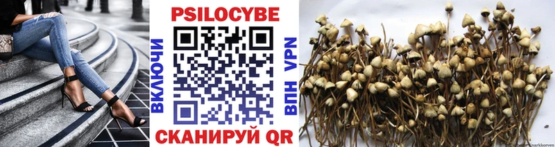 Галлюциногенные грибы Magic Shrooms Бежецк